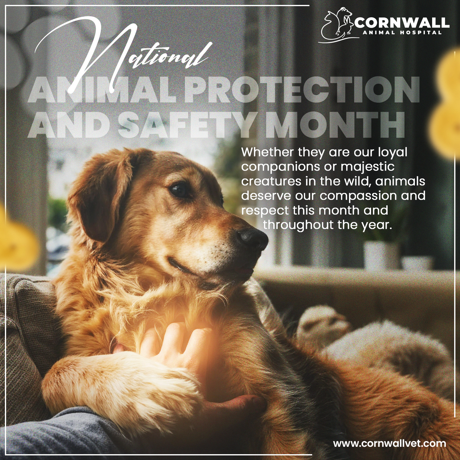 Graphic Branding portfolio