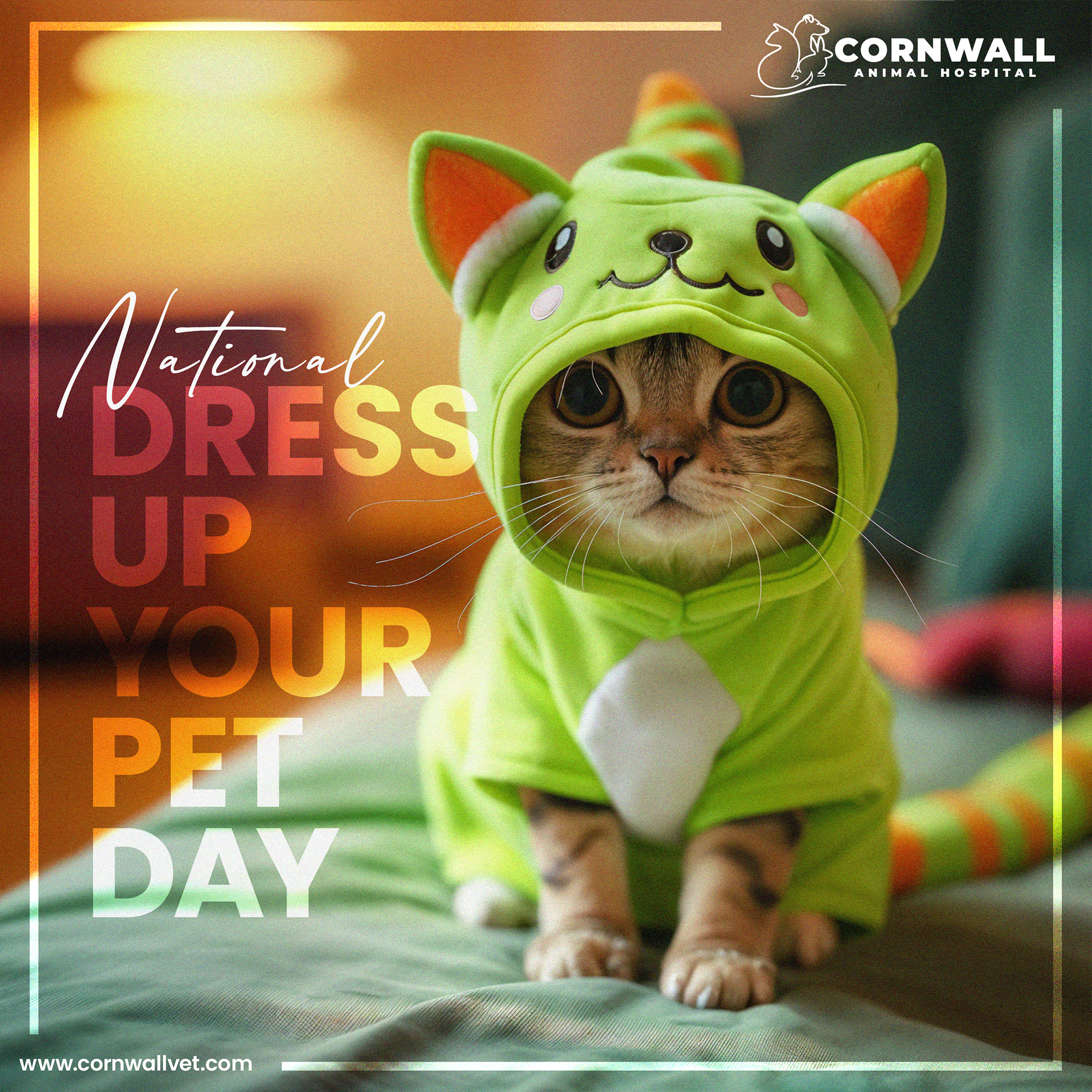 Graphic Branding portfolio