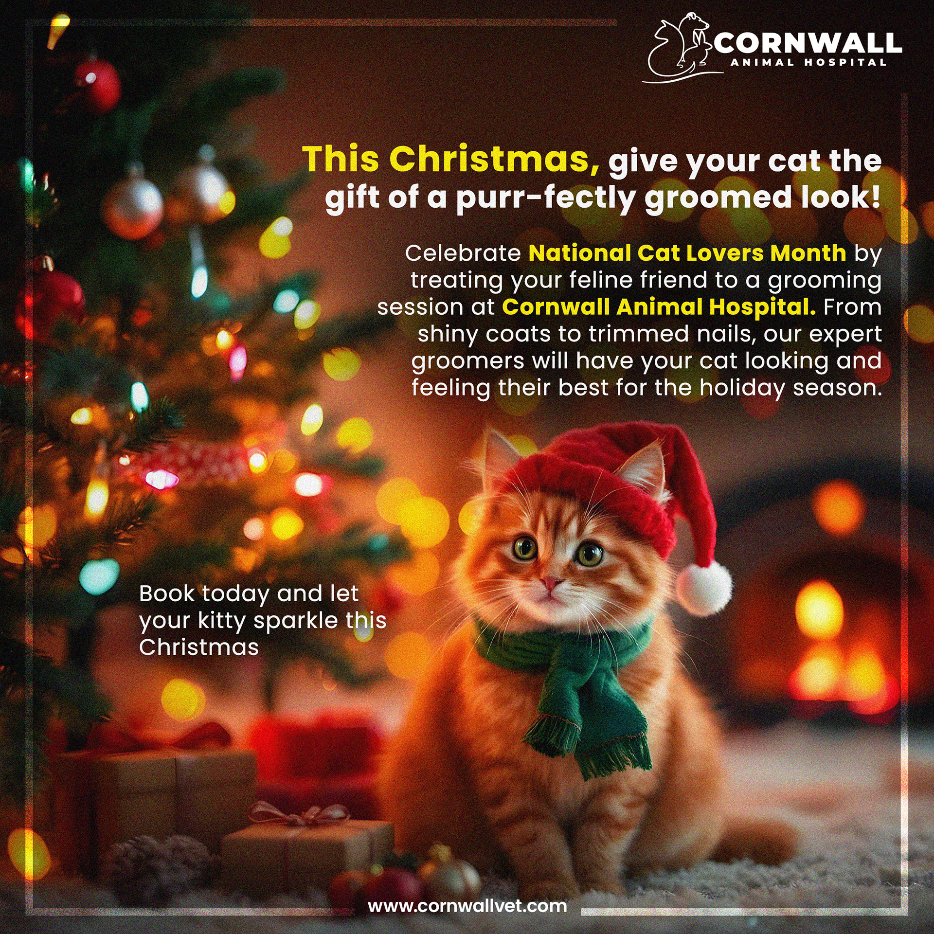 Graphic Branding portfolio