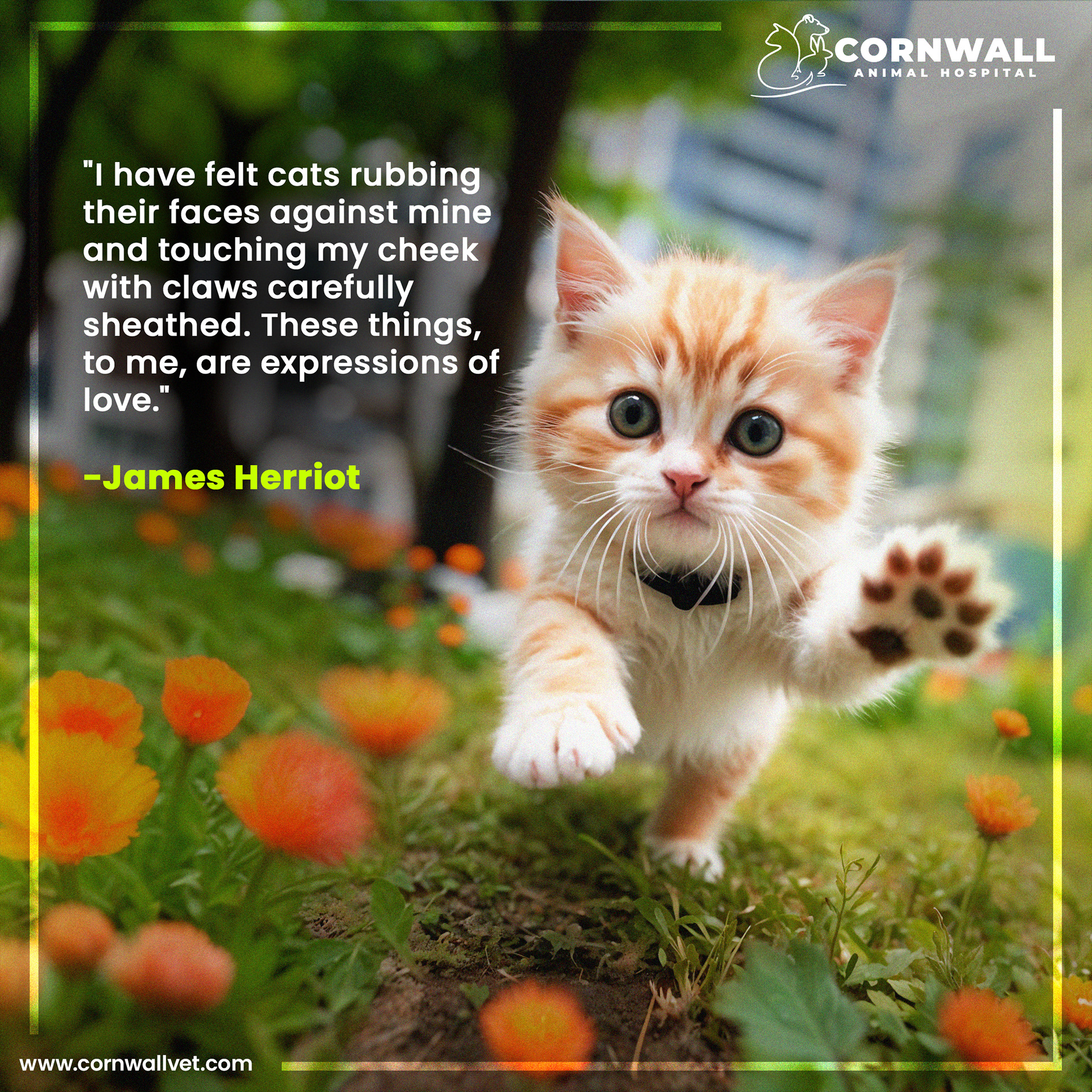 Graphic Branding portfolio