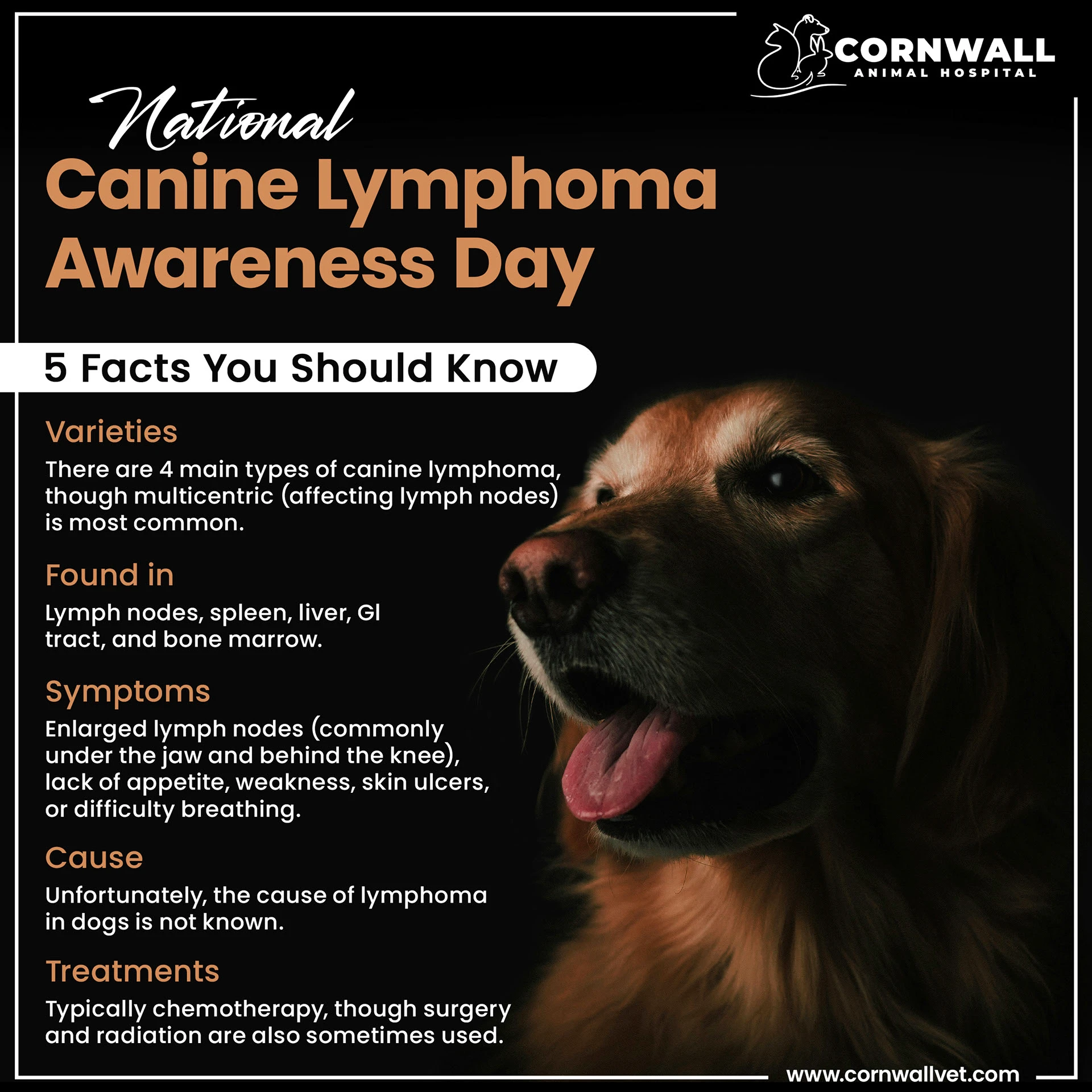 Graphic Branding portfolio