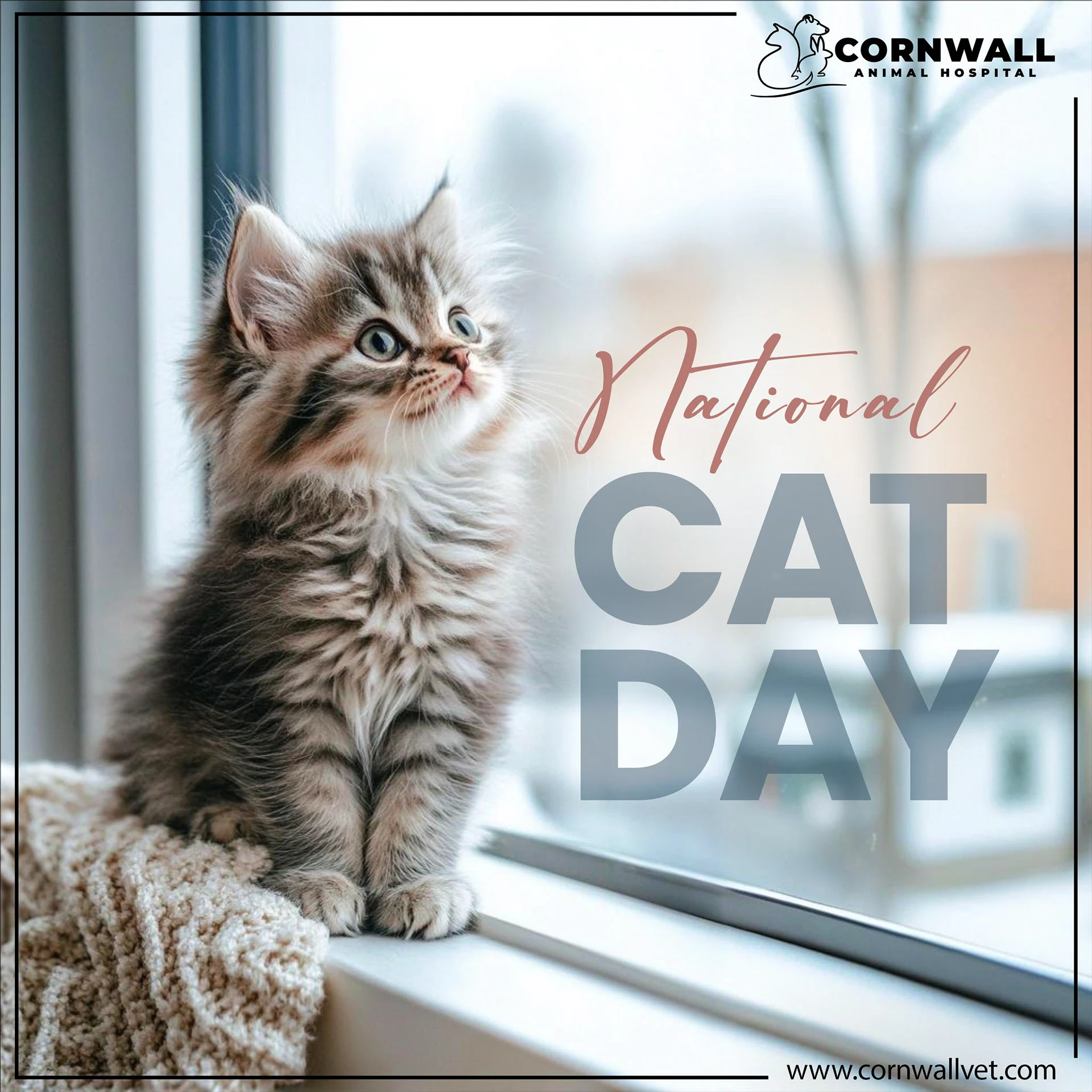 Graphic Branding portfolio